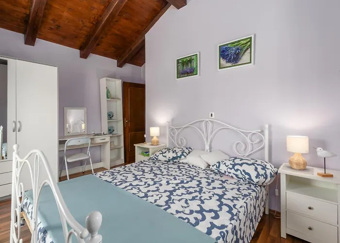 Deja * Marusici (Istria)